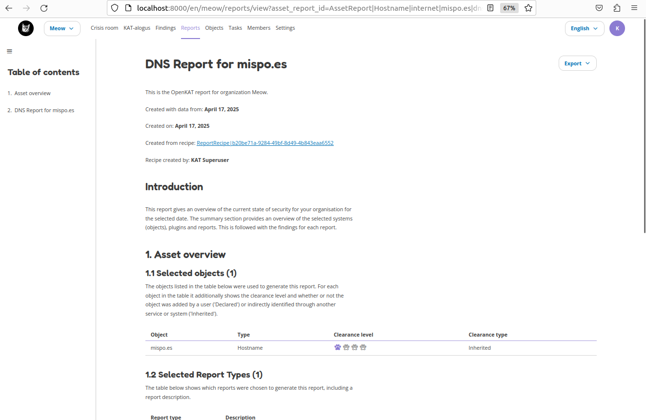 DNS report