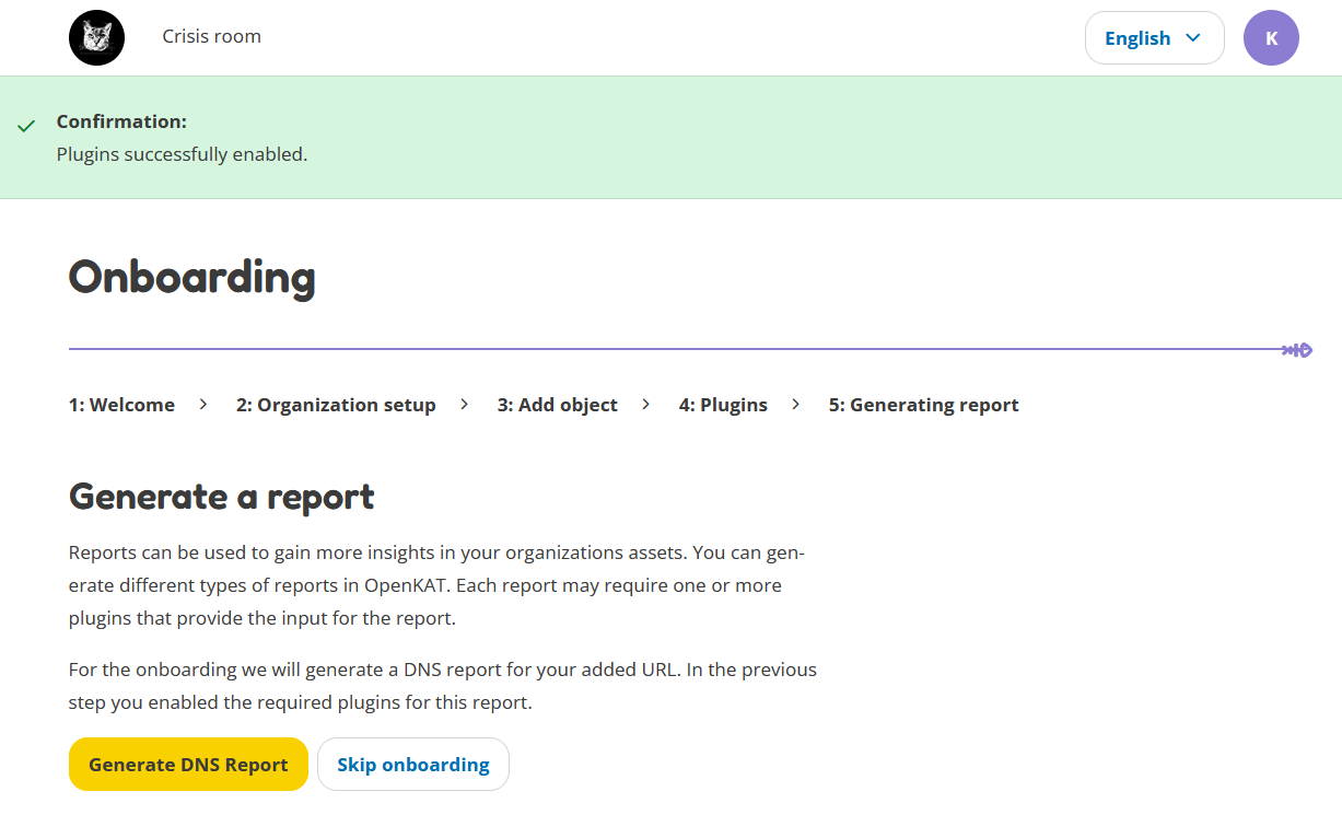 Generate your DNS Report.
